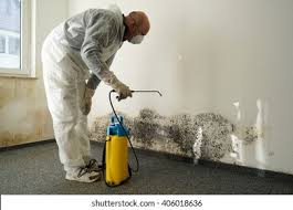 Fayetteville, AL Mold Removal Company